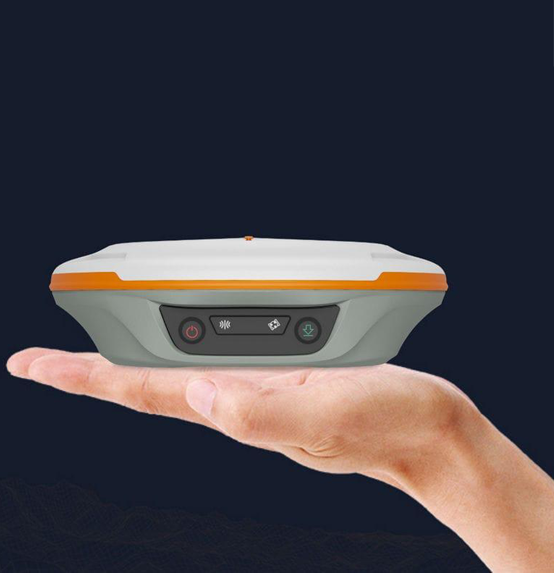 N2 Palm